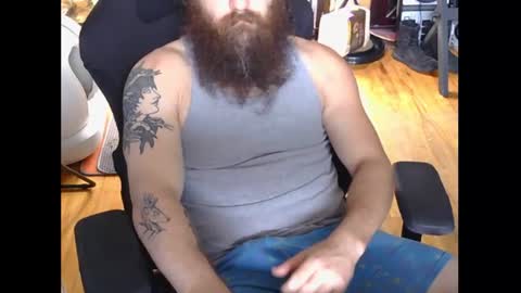 xiisil online show from July 13, 2026, 3:04 pm