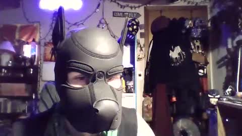 ZanePup online show from July 6, 2026, 5:26 am