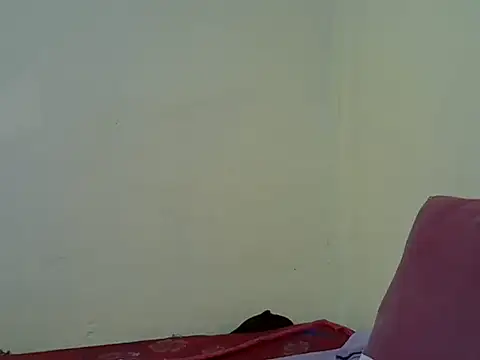 blackdollshe online show from June 19, 2026, 11:58 am