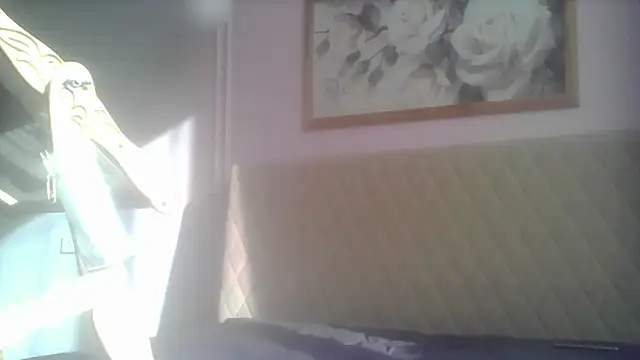 Snapshot of SunElizabeth chatting on June 12, 2026, 2:43 am SunElizabeth online show from June 12, 2026, 2:43 am