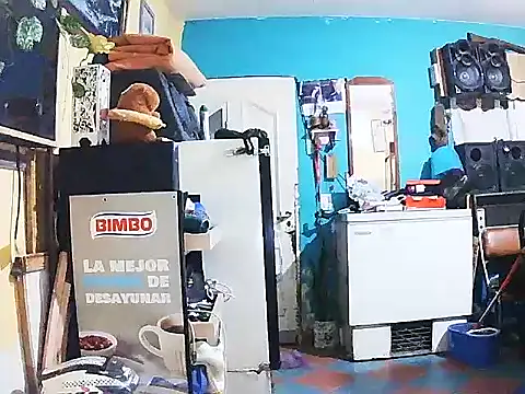 Snapshot of DiAntool chatting on January 18, 2026, 5:44 am DiAntool online show from January 18, 2026, 5:44 am