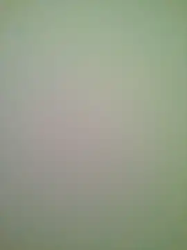 Lovensetest online show from June 29, 2026, 5:57 am