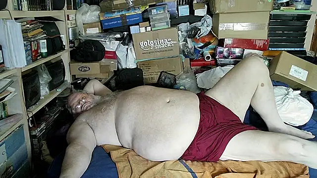 hadeszeuss2 online show from July 16, 2026, 1:17 pm