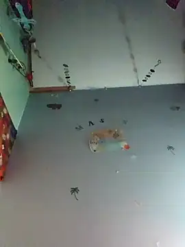 Pnp679 online show from March 12, 2025, 8:08 am