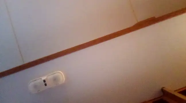 NikkiNFellyy online show from December 3, 2024, 10:51 pm