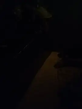 sajida34 online show from July 15, 2026, 12:16 am