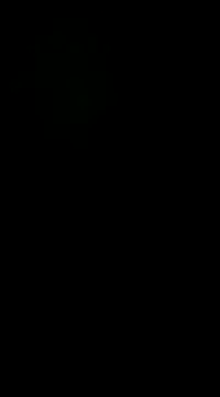 Snapshot of pelarrico12 chatting on January 1, 2025, 5:01 am pelarrico12 online show from January 1, 2025, 5:01 am