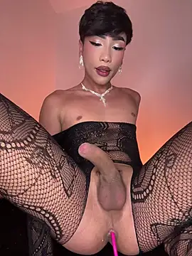 sue   0 online show from July 14, 2026, 2:05 am