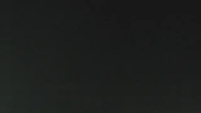 salome daniel online show from June 15, 2026, 4:09 pm
