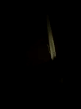 dominationmybigdick online show from July 17, 2026, 10:47 pm