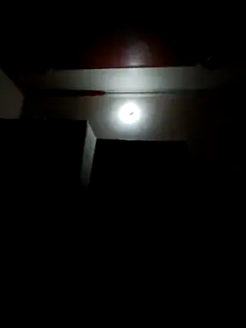 wildlkitten online show from March 20, 2025, 9:24 pm