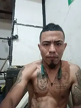 Trigongo online show from July 8, 2026, 2:43 pm