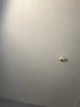 dailydosam online show from March 23, 2026, 12:20 pm