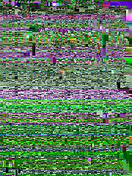 ASSERINAAA online show from July 10, 2026, 6:28 am