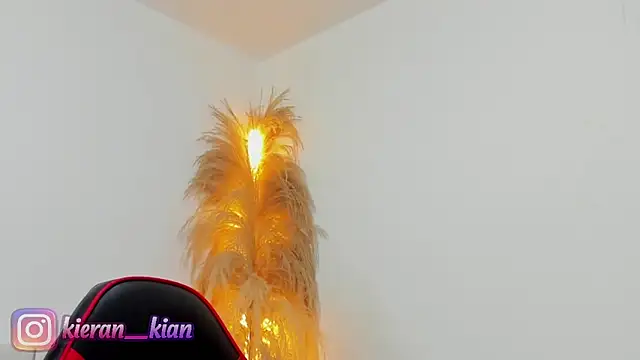 Snapshot of Kieran_kian chatting on April 19, 2026, 3:55 pm Kieran kian online show from April 19, 2026, 3:55 pm