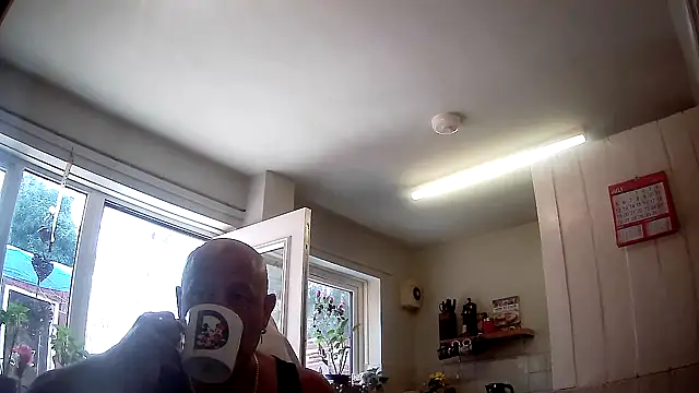 playfulchell online show from July 17, 2026, 10:55 am