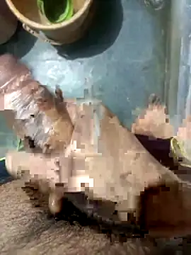 xhanm online show from April 29, 2026, 5:41 pm