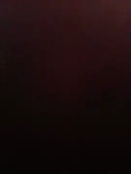 weilpasst online show from July 1, 2026, 12:07 pm