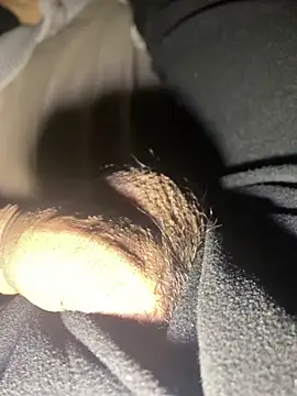 Snapshot of lion_kun chatting on December 17, 2025, 10:10 am lion kun online show from December 17, 2025, 10:10 am