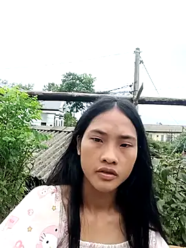 Hoa-tuylip online show from July 29, 2026, 7:17 am