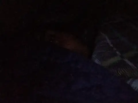 MickeySexyyy online show from July 9, 2026, 3:43 am