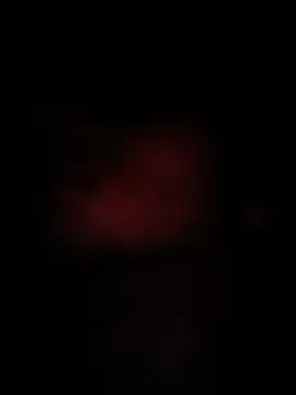 peanutbutteater online show from June 9, 2026, 2:28 pm
