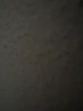 MIABCDZ online show from May 12, 2026, 1:58 am
