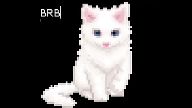 BlinkingDross online show from June 16, 2026, 11:57 am