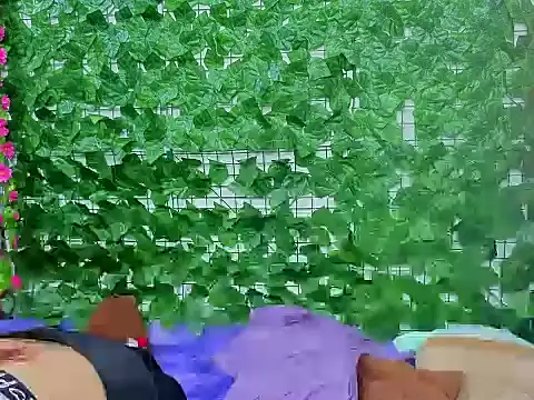 asshoney Abby online show from April 2, 2026, 12:41 am