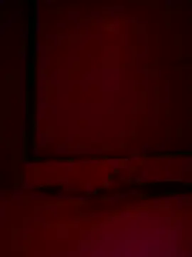 Snapshot of Foxmen9090 chatting on March 22, 2026, 1:31 am Foxmen9090 online show from March 22, 2026, 1:31 am