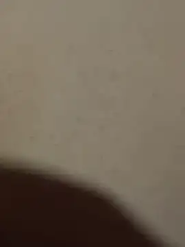 Mr beast 09 online show from June 22, 2026, 4:42 am