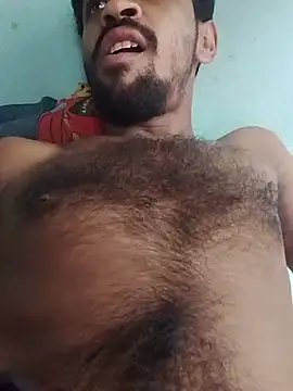 desibullboybd online show from June 11, 2026, 10:13 am