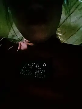 auro99 online show from July 6, 2026, 1:41 pm