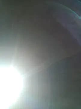 Rod Gorilla online show from July 20, 2026, 11:56 am