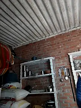 Hot shiri online show from July 24, 2026, 4:43 am