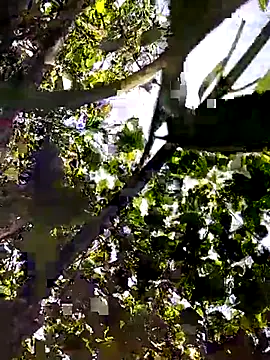 Sofia-fuck online show from July 12, 2026, 5:53 am