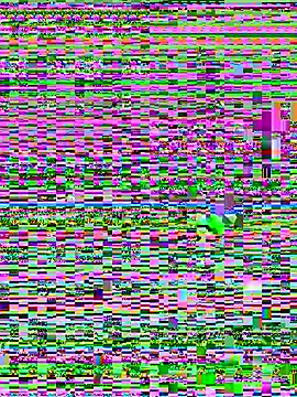Snapshot of Jelmer57 chatting on July 24, 2026, 8:51 pm Jelmer57 online show from July 24, 2026, 8:51 pm