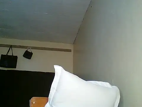 Snapshot of giana_lexy chatting on July 9, 2026, 11:47 am giana lexy online show from July 9, 2026, 11:47 am