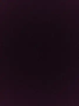 Snapshot of noirlynnexo chatting on August 6, 2026, 8:44 pm noirlynnexo online show from August 6, 2026, 8:44 pm