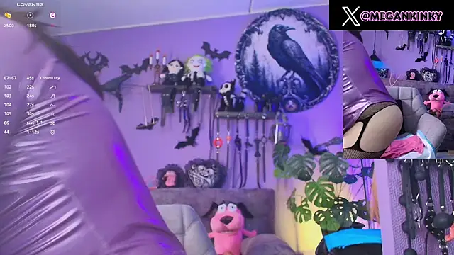 fetishkinkymeganx online show from July 17, 2026, 3:29 pm