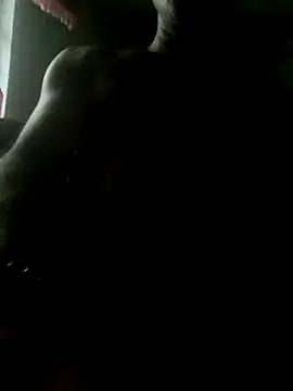 xxxsexy27 online show from July 2, 2026, 10:32 am