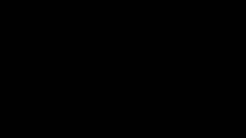 Peter online show from February 23, 2025, 8:00 pm