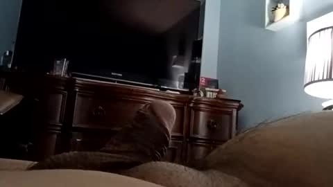 12345marihtc online show from November 24, 2025, 3:06 am