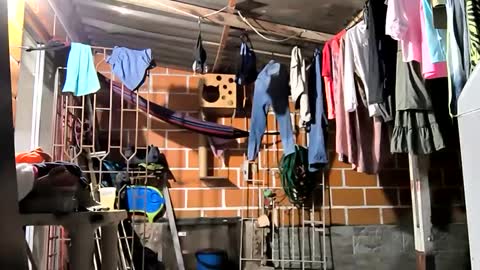 Snapshot of 17cmpolla chatting on December 6, 2024, 4:14 am 17cmpolla online show from December 6, 2024, 4:14 am