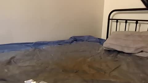 1toxiclust online show from November 29, 2025, 2:36 am