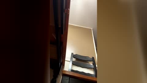 33adidas online show from January 9, 2026, 9:12 am