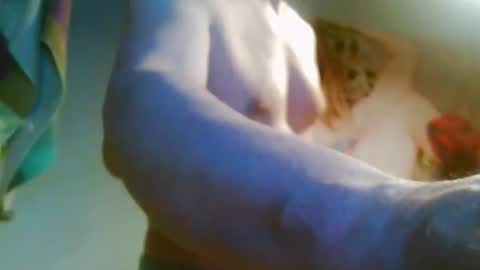 41bigdick41 online show from April 8, 2026, 3:45 pm