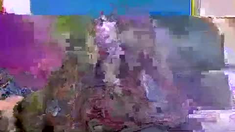 4nuf online show from January 15, 2025, 7:48 am