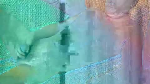 Daddy online show from October 19, 2025, 4:51 pm