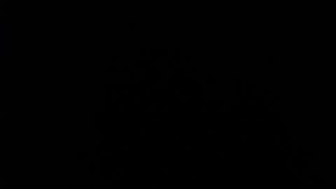 Snapshot of 666maskgirl chatting on December 11, 2024, 4:09 pm SHANNON online show from December 11, 2024, 4:09 pm